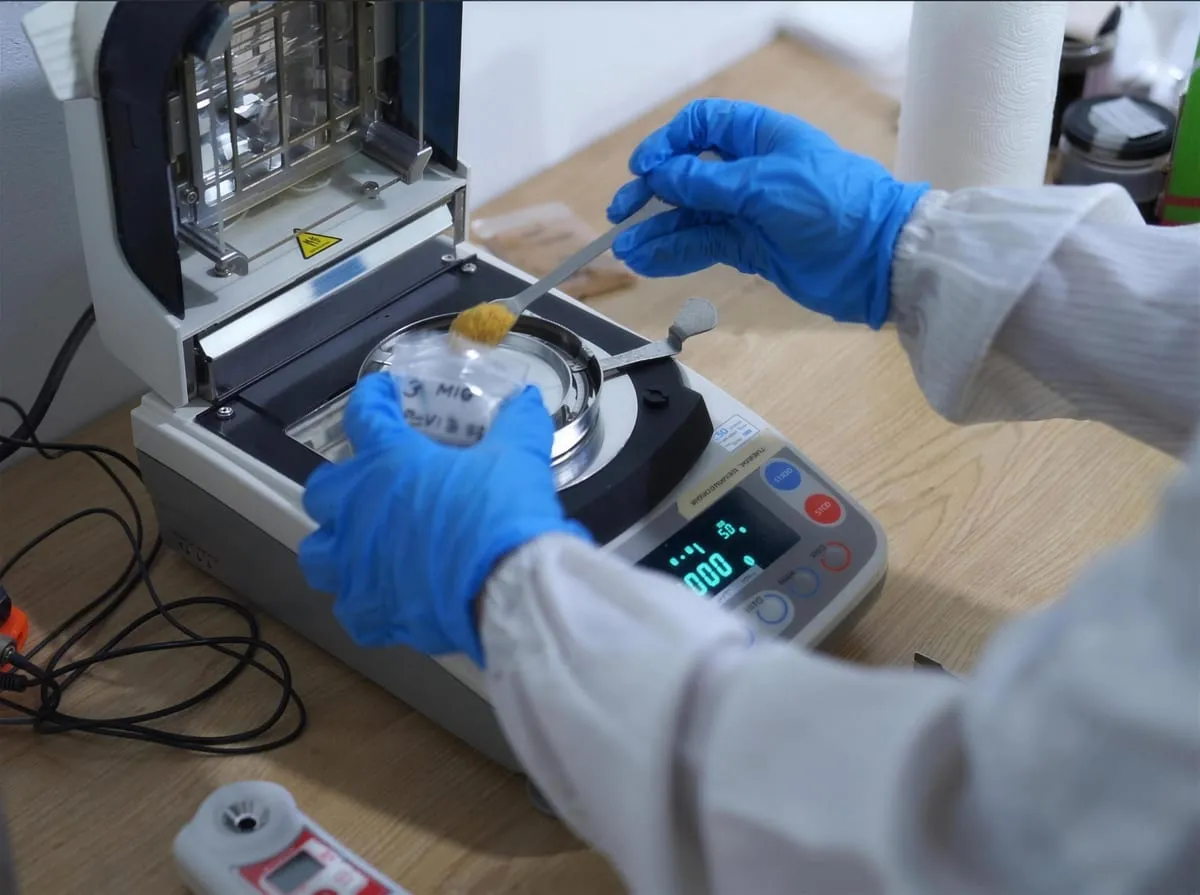 A gloved technician spoons a sugar sample onto the pan of a moisture analyser.